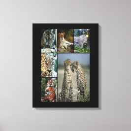 Collage de gatos salvajes Lienzo envuelto