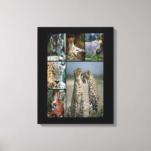 Collage de gatos salvajes Lienzo envuelto (Anverso)