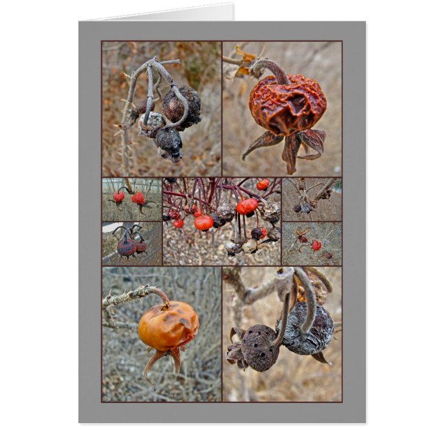 Collage de la cadera color de rosa (Frente)