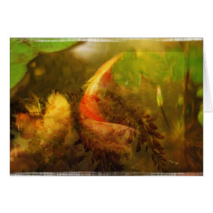 Collage de la charca de Koi - tarjeta