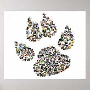 Collage de la impresión de la pata del perro