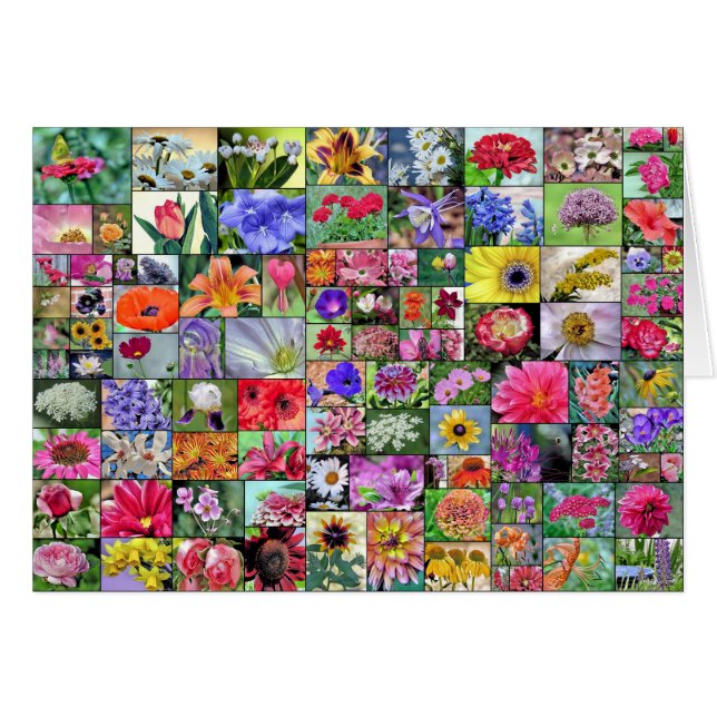 Collage de la tarjeta de flores (Anverso (Horizontal))