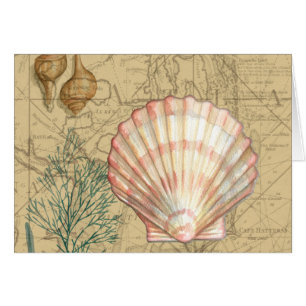 Collage de mapas costeros