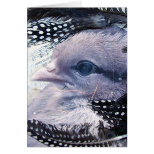 Collage de medios mixtos de Chick