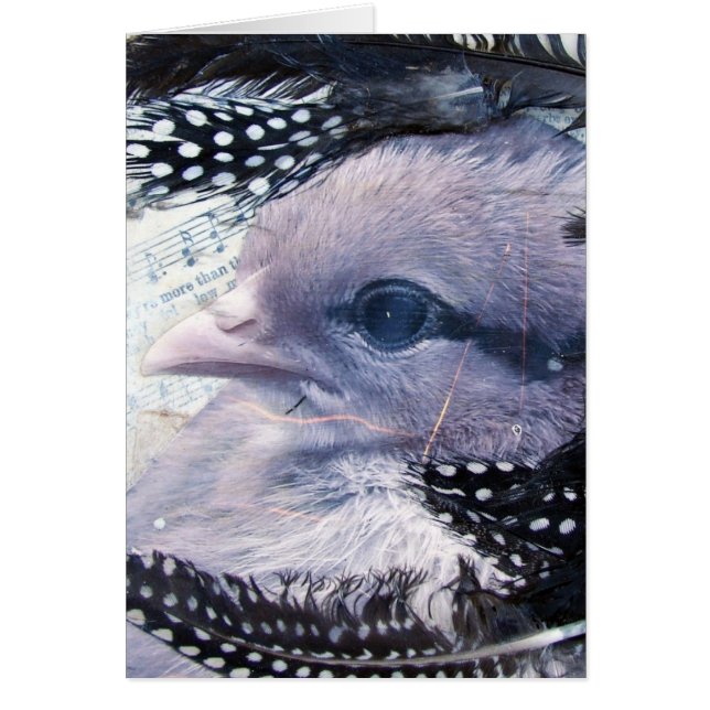 Collage de medios mixtos de Chick (Frente)