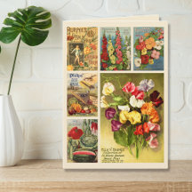 Collage de plaquetas Granja de flor de cosecha de