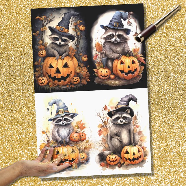 Collage de Raccoon de Halloween 1 Papel de desconf (Subido por el creador)