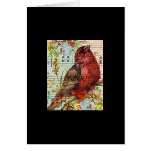Collage de Redbird