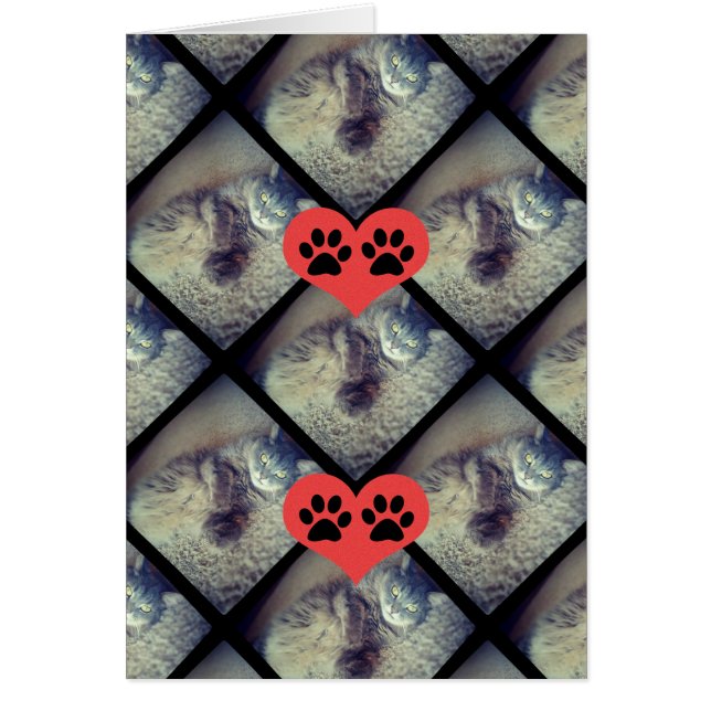 Collage de un gato con dibujos de Shirley Taylor (Frente)