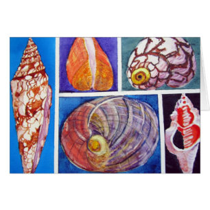 Collage del Seashell