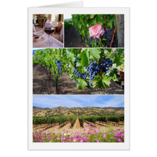 Collage del viñedo de California