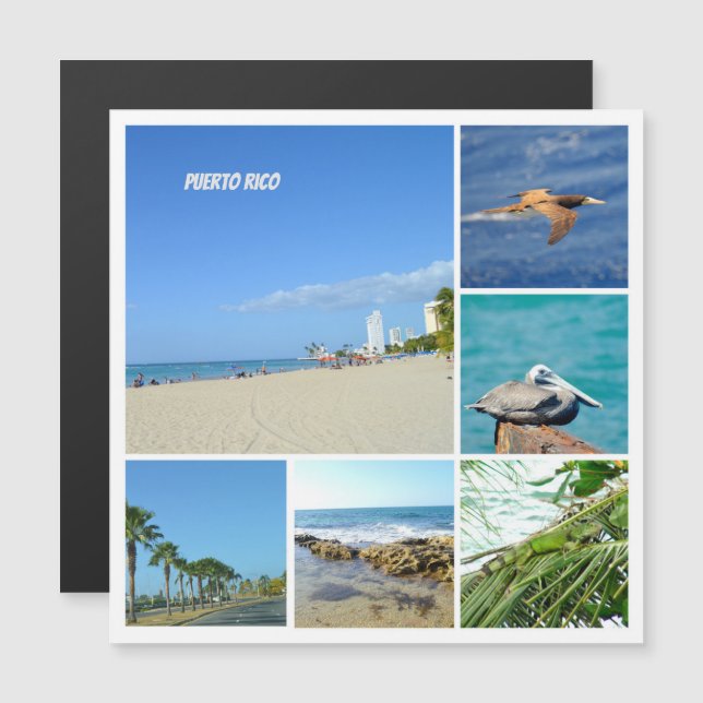 Collage natural de San Juan, imán de Puerto Rico (Anverso/Reverso)