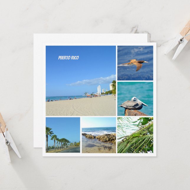 Collage natural de San Juan, Puerto Rico (Anverso/Reverso In Situ)
