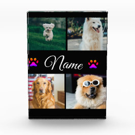 Collage simple de fotos con nombres de animales co