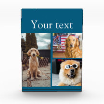 Collage simple de fotos con nombres de animales co