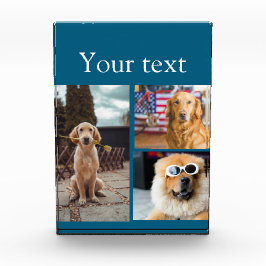 Collage simple de fotos con nombres de animales co