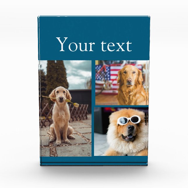 Collage simple de fotos con nombres de animales co (Anverso)