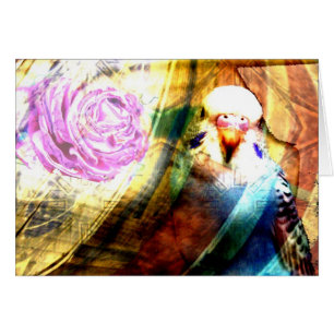 Collage subió Parakeet - tarjeta