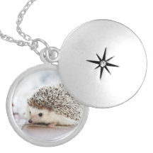 Animal de peluche para bebés