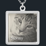 Collar de fotos Mascota personalizado<br><div class="desc">Collar de fotos Mascota personalizado.</div>
