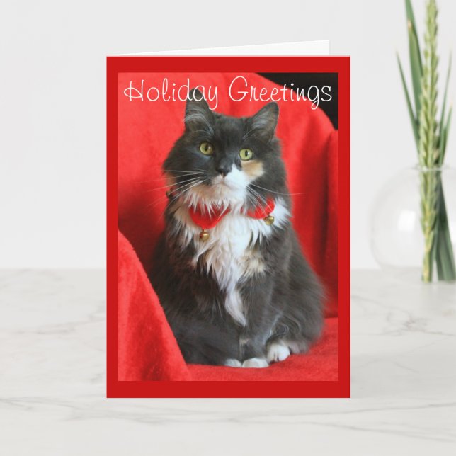 Collar de Navidades de uso del gato - Tarjeta (Anverso)