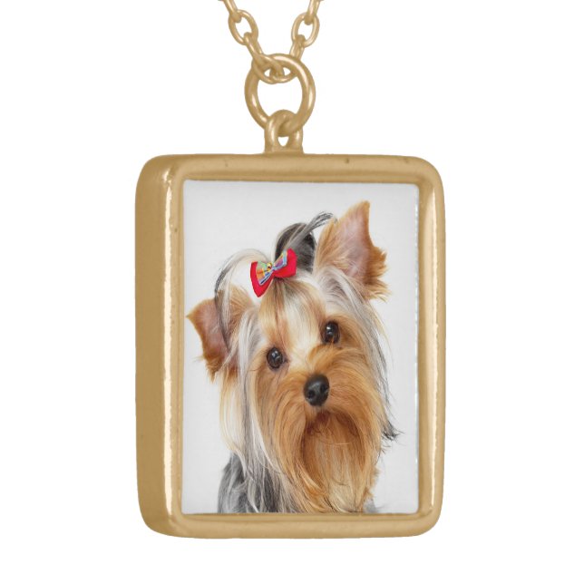 Trueno Europa Absurdo Collar de oro de perro de Yorkshire Terrier | Zazzle.es