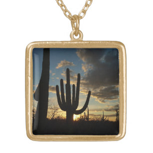 Collar Dorado Paisaje del desierto de Saguaro Sunset II Arizona