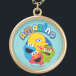 Collar Dorado Son asombrosos<br><div class="desc">Las ilustraciones del Sesame Street ofrecen el monstruo de la galleta,  el pájaro grande,  Elmo y a Óscar el Grouch en un diseño "que sorprende".</div>