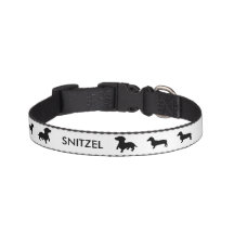 Collar Dachshund personalizado