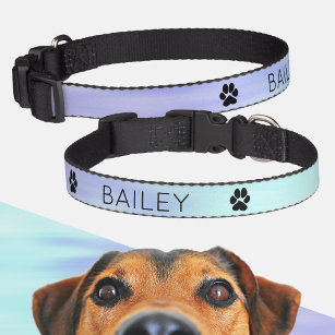 Collar Para Mascotas Gradiente violeta Aqua Blue Pastel Nombre personal