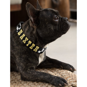 Collar Para Mascotas Nombre moderno de oro de perro porcino blanco y ne