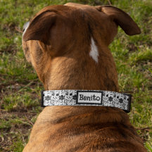 Símbolos taínos cultura de Puerto Rico