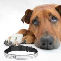 Collar personalizado moderno a rayas para mascotas