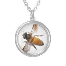 Abeja de miel pequeña