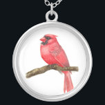 Collar Plateado acuarela de ave cardinal<br><div class="desc">ilustracion de un pájaro cardenal sobre una rama pintada con acuarelas,  se puede ver el proceso de pintura aquí: http://bit.ly/2zCeRZe</div>