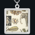Collar Plateado Animales variados pintados con fondo crema<br><div class="desc">Las maravillas de la naturaleza se muestran en este artículo de Vision Studio. Los insectos espeluznantes se mezclan con un elefante,  una mariposa y otros animales variados. Si te gusta la naturaleza,  ¡esta es la impresión para ti!</div>