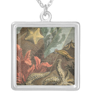 Collar Plateado Bajo el mar