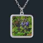 Collar Plateado Bee de abejas moradas y abeja de burbujas<br><div class="desc">Flor de abeja púrpura y burbujas amarillas y negras. Foto de Sandy Closs tomada en Lake Arrowhead morado,  "bálsamo de abeja",  flor,  flores,  floral,  primavera,  cereza,  cerezas,  jardín,  boda,  bodas, </div>