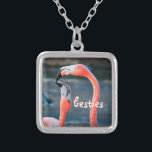 Collar Plateado Bestis Amigos De Flamingo Rosado Foto Diversión De<br><div class="desc">¿Quién dice que los flamencos no pueden divertirse con su amigo favorito? Disfruta de esta imagen entretenida cada vez que usas este impresionante collar de encanto fotográfico de dos flamencos rosados jugando por ahí. Este collar se presenta en pequeños, medianos y grandes tamaños, así como en forma cuadrada y circular....</div>