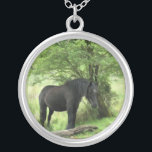 COLLAR PLATEADO CABALLOS<br><div class="desc">Una hermosa yegua negra descansando a la sombra de un árbol.</div>