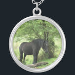 COLLAR PLATEADO CABALLOS<br><div class="desc">Una hermosa yegua negra descansando a la sombra de un árbol.</div>