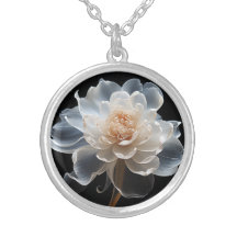 Camellia blanca