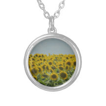 Campo de girasoles