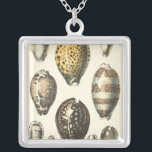 Collar Plateado Cascos de mar de forma única<br><div class="desc">En la cálida arena se encuentran los tesoros escondidos. Esta pintura de Kobeit,  captura la bella vida acuática que se encuentra en la costa. Kobeit capta una hermosa colección de conchas de color sepia en un tono vintage. Consigue tu hermoso arte oceánico hoy en tu próximo producto de Zazzle.</div>
