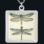 Collar Plateado Colección de libélula por Chariklia Zarris<br><div class="desc">Colección de libélula digna de cualquier curioso fango de la naturaleza,  esta es una impresionante pieza de Chariklia Zarris. ¡Póngalo en tu pared o dáselo como regalo!</div>