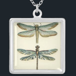 Collar Plateado Colección de libélula por Chariklia Zarris<br><div class="desc">Colección de libélula digna de cualquier curioso fango de la naturaleza,  esta es una impresionante pieza de Chariklia Zarris. ¡Póngalo en tu pared o dáselo como regalo!</div>