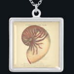 Collar Plateado Concha roja vintage<br><div class="desc">En esta imagen vívida, se puede ver en vintage natural y estilo único de la concha roja de Conch de cerca. Este tipo único de arte tiene un matiz negro y rojo para acentuar la espiral de esta concha de concha. Obtén hoy esta cáscara de concha con un fondo sepia...</div>