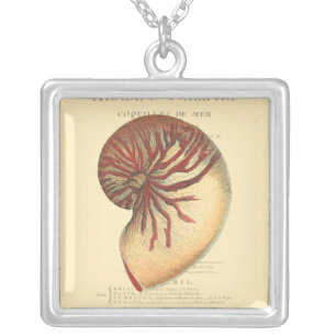 Collar Plateado Concha roja vintage