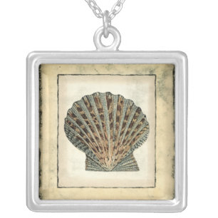 Collar Plateado Criaturas marinas a orillas del mar