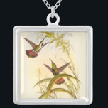 Collar Plateado Dos Hummingbirds coloridos que buscan la misma flo<br><div class="desc">El artista John Gould era un apasionado de las aves. En este colorido dibujo,  los dos colibríes y la flor están representadas de forma muy bonita. Los detalles de este colorido y bonito arte deleitarán a cualquier amante del arte.</div>